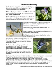 Faulbaumbläuling-Steckbrief.pdf
